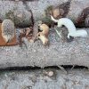 02 Aktion Februar 25 Tiere im Winterwald